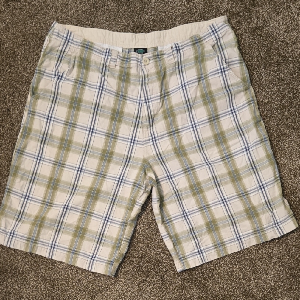 Plaid Men's Shorts in Green and Blue